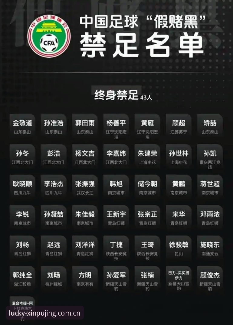 新普京游戏赛事查询攻略 中国足协第三批禁足令深度解析:新普京娱乐赛事信息查询操作教程